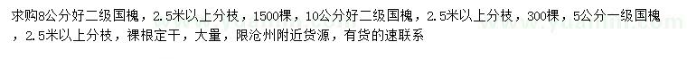 求購5、8、10公分國槐