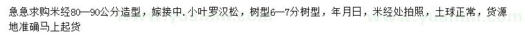 求購米徑80-90公分小葉羅漢松