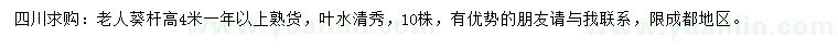 求購(gòu)4米老人葵