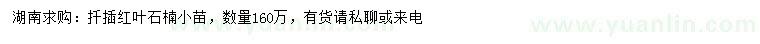 求購紅葉石楠