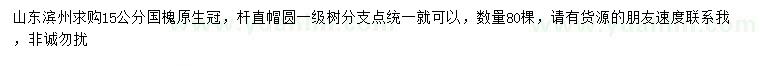 求購15公分國槐