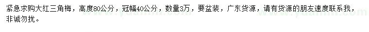 求購高80公分大紅三角梅