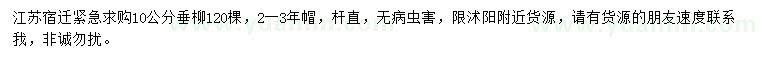 求購10公分垂柳