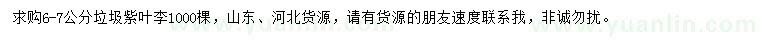 求購6-7公分紫葉李