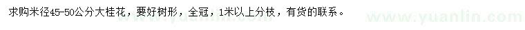 求購(gòu)米徑45-50公分桂花