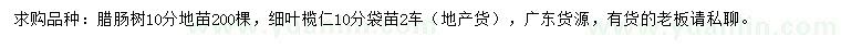 求購10公分臘腸樹、細(xì)葉欖仁