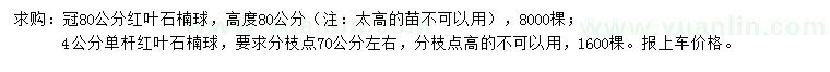求購冠80公分紅葉石楠球、4公分單桿紅葉石楠球
