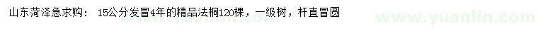 求購15公分法桐