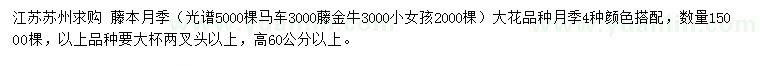 求購高60公分以上藤本月季
