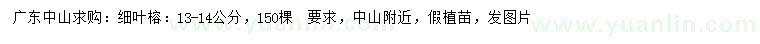 求購13-14公分細(xì)葉榕