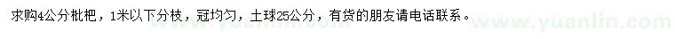 求購(gòu)4公分枇杷