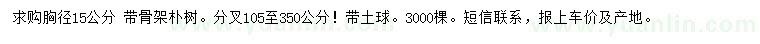 求購胸徑15公分樸樹