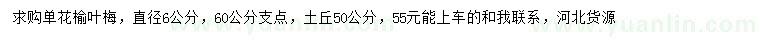 求購直徑6公分榆葉梅