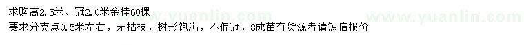 求購高2.5米金桂