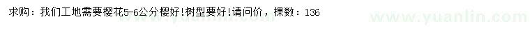 求購5-6公分櫻花