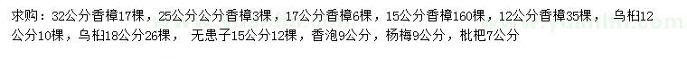 求購香樟、烏桕、無患子等