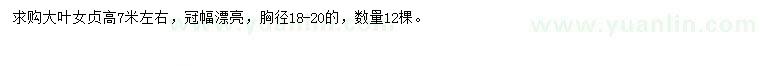 求購高7米左右大葉女貞