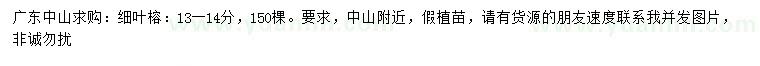 求購13-14分細葉榕
