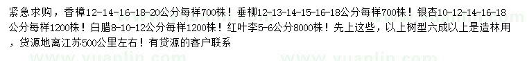 求購(gòu)香樟、垂柳、銀杏等