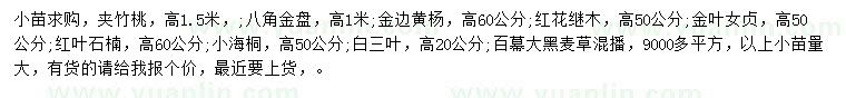 求購?qiáng)A竹桃、八角金盤、金邊黃楊等