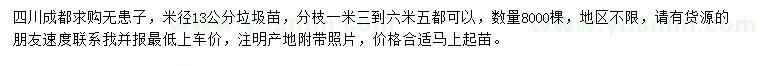 求購米徑13公分無患子