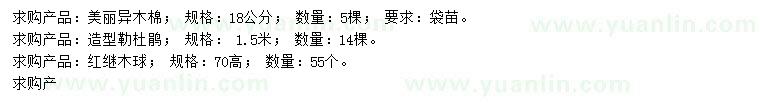 求購美麗異木棉、勒杜鵑、紅繼木球等