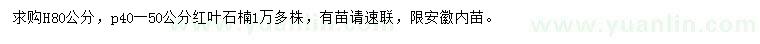 求購高80公分紅葉石楠