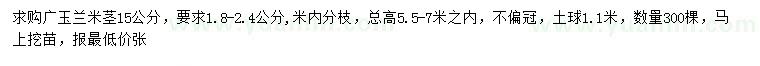 求購米徑15公分廣玉蘭