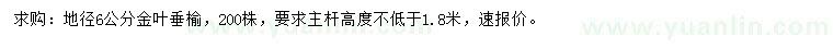 求購(gòu)地徑6公分金葉垂榆