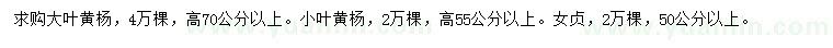 求購(gòu)大葉黃楊、小葉黃楊、女貞