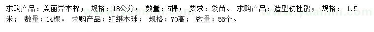 求購美麗異木棉、造型勒杜鵑、紅繼木球