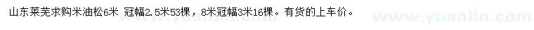 求購(gòu)6米米油松