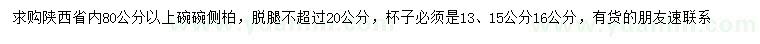 求購80公分以上側(cè)柏