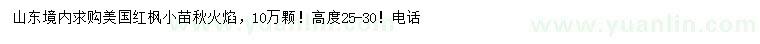 求購高25-30公分美國紅楓小苗