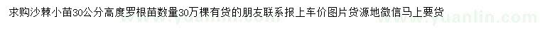 求購高度30公分沙棘小苗