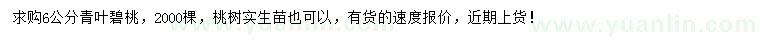 求購6公分青葉碧桃