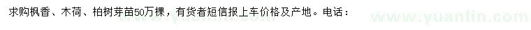 求購楓香、木荷、柏樹芽苗