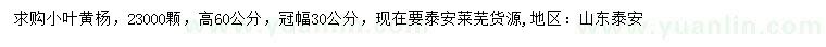求購高60公分小葉黃楊