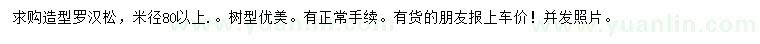 求購(gòu)米徑80公分以上造型羅漢松