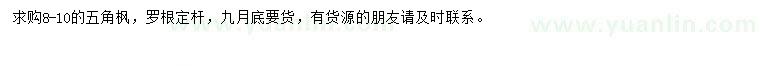 求購(gòu)8-10公分五角楓