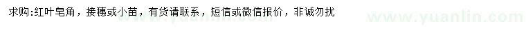 求購紅葉皂角