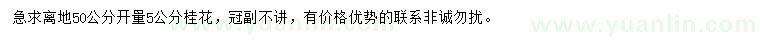 求購離地50公分開量5公分桂花