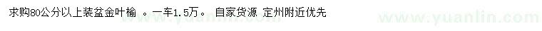 求購(gòu)80公分以上金葉榆