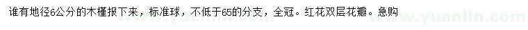 求購地徑6公分木槿