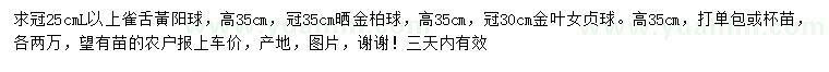 求購雀舌黃楊、灑金柏、金葉女貞球