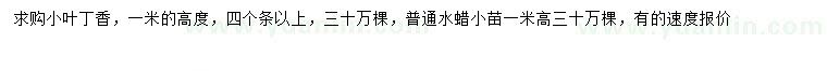 求購(gòu)高1米小葉丁香、水蠟小苗