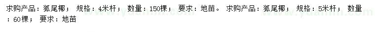 求購4、5米桿狐尾椰