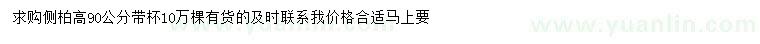 求購高90公分側(cè)柏