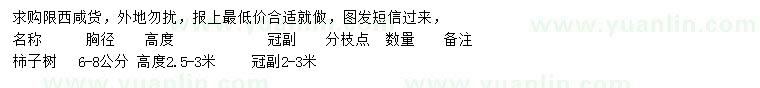 求購(gòu)6-8公分柿子樹(shù)