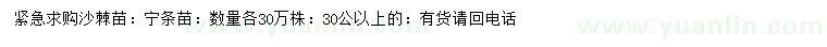 求購(gòu)30公以上沙棘苗寧條苗